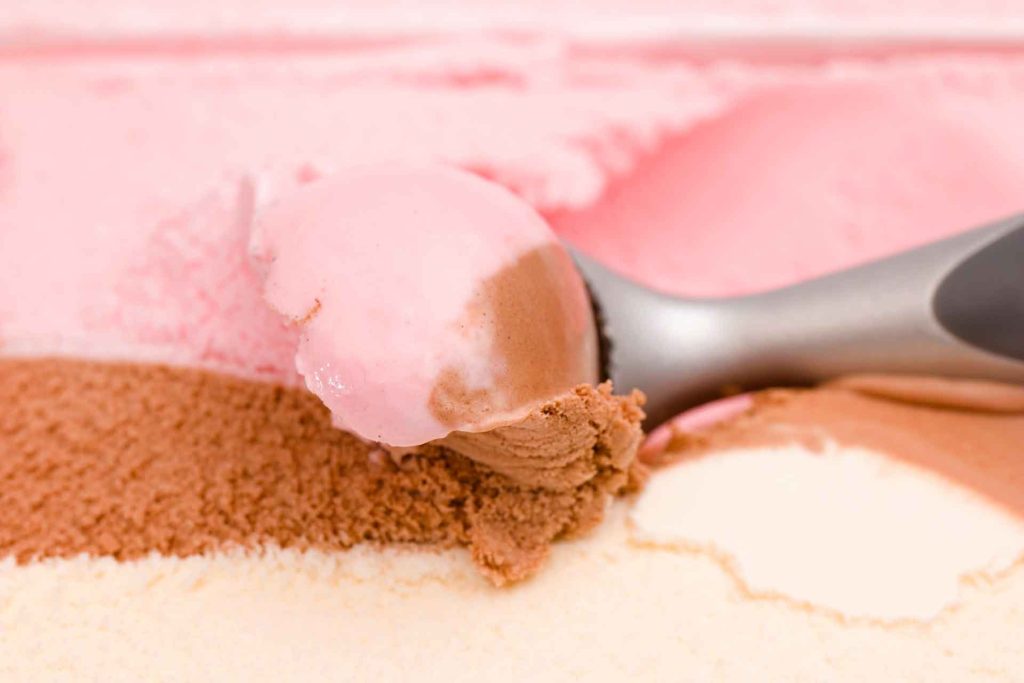 Neapolitan Ice Cream • A Freeze Dried Edibles Company